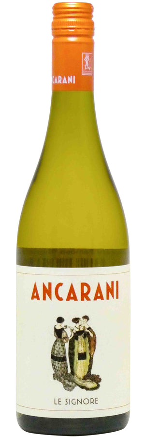 Ancarani Famoso "Signore" 2024