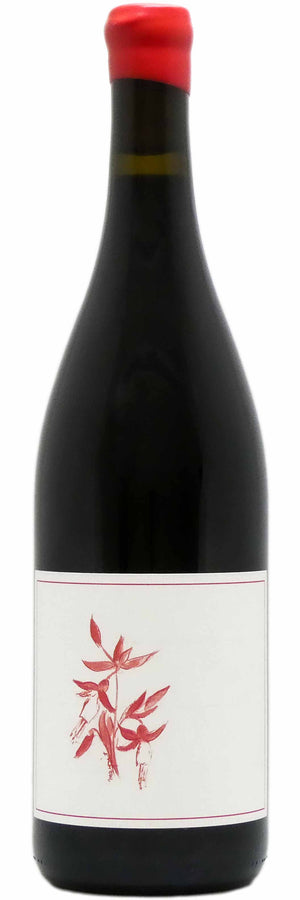 Arnot-Roberts Pinot Noir Fox Creek Vyd 2024