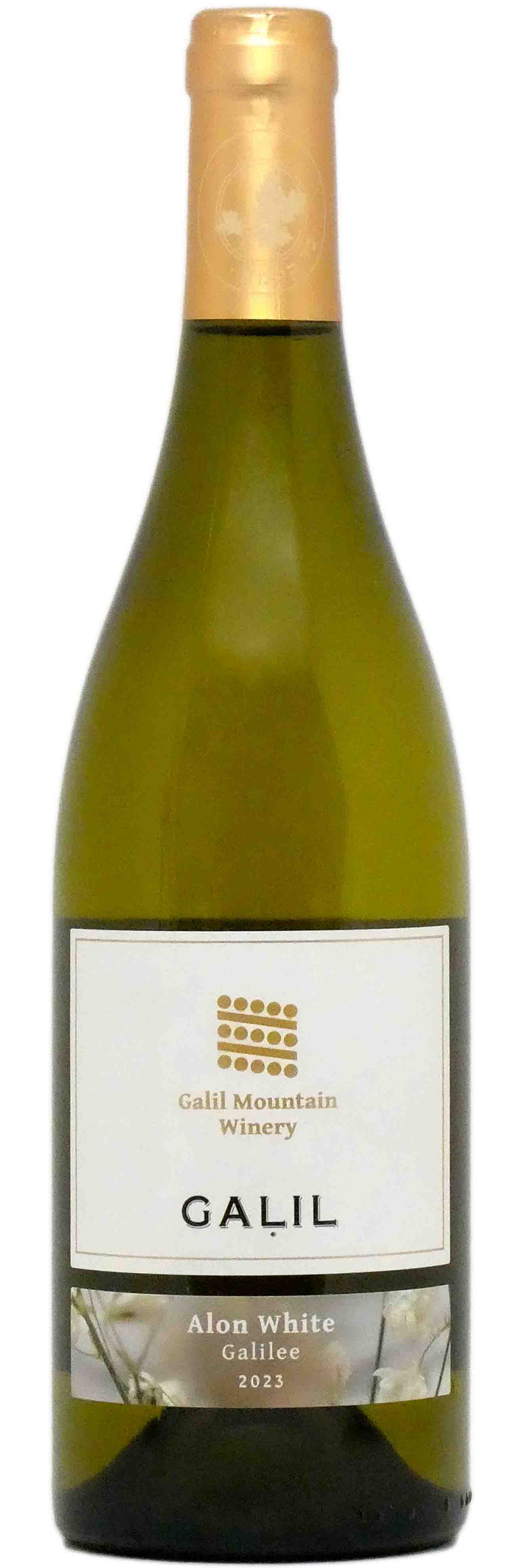 Galil Mountain Gailee Alon White